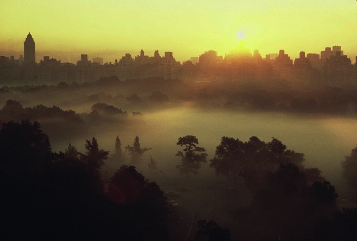 orkin_mist_03.jpg
