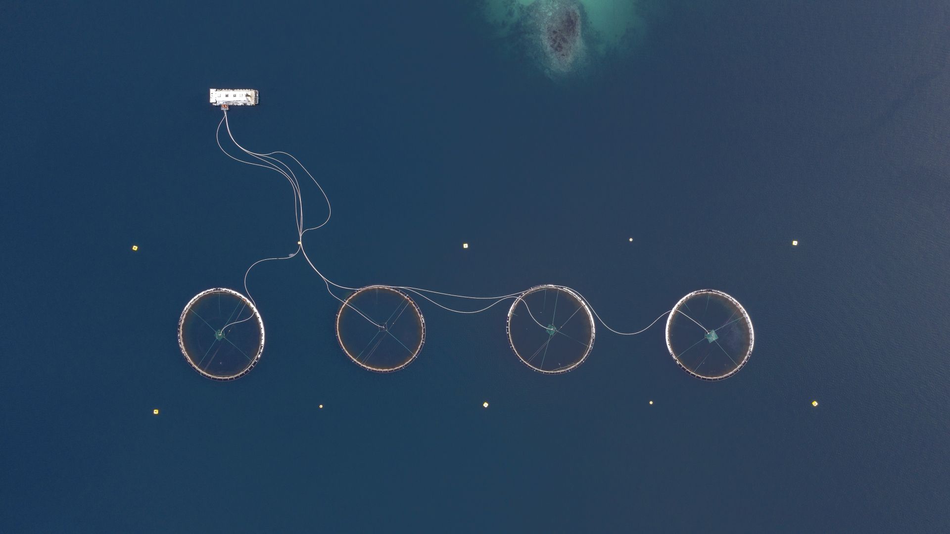 Fotó: Rácz Péter: Űrlény négykerekű biciklivel<br />Norvégia 1960-ban elsőként hozott létre halgazdaságokat, ahol úszó ketrecekben tenyésztett lazacokat. Ma már számos ilyen haltelep található a fjordokban. Ezekkel a telepekkel próbálják kielégíteni folyamatosan a növekvő igényeket. A Föld teljes lazactermelésének 2/3-át ilyen akvakultúrák adják.<br /><br />Kezünkben a Föld<br />1. díj<br />
