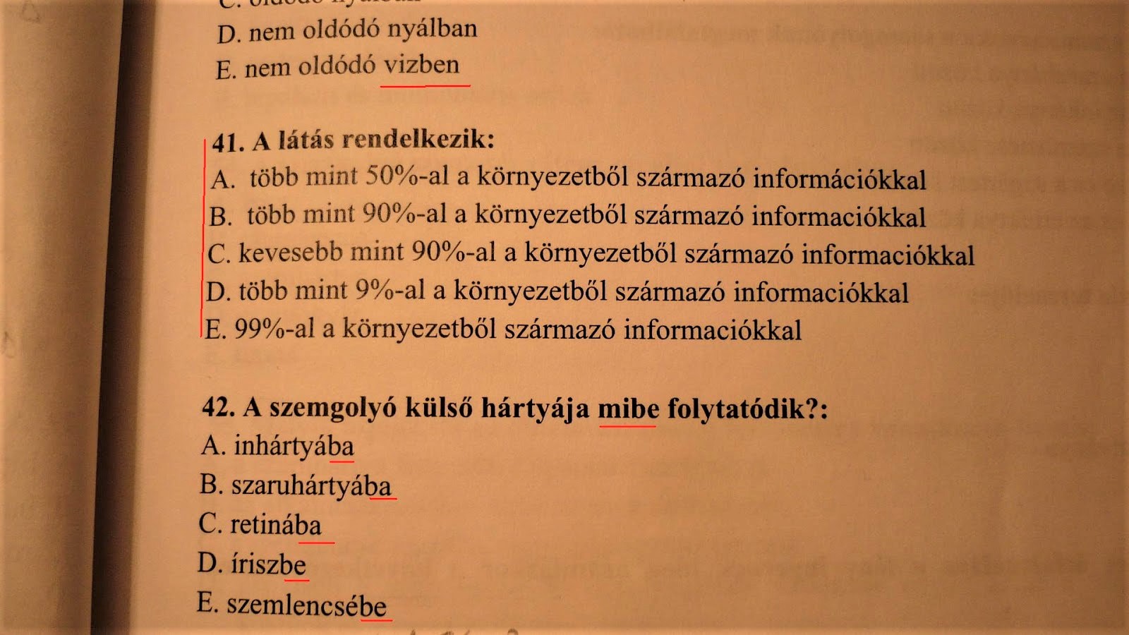 p1550613.JPG