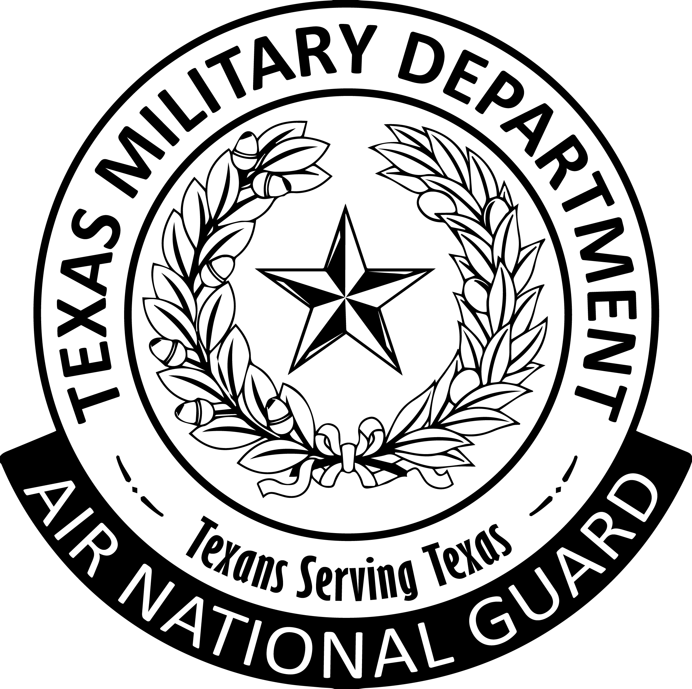 texas_air_national_guard_subdued_seal.jpg