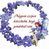 Kép
