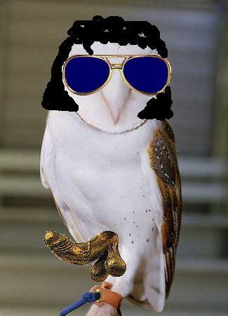 elvis_a_rezfaszu_bagoly(2).jpg