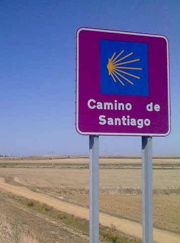 El Camino 458_1.jpg
