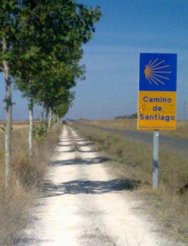 El Camino 508_1.jpg