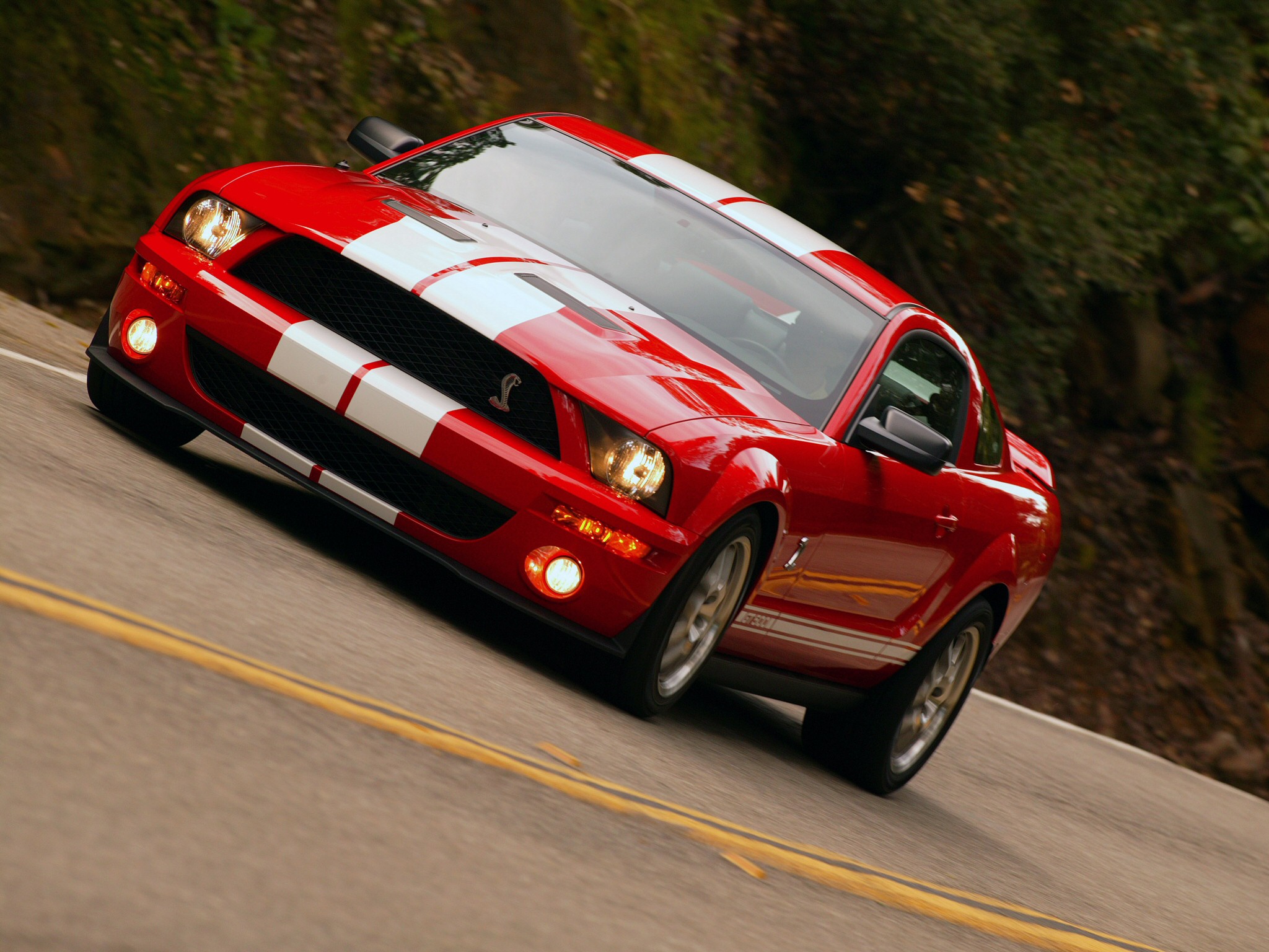 [Immagine: ford_mustang-shelby-gt500_r9.jpg]