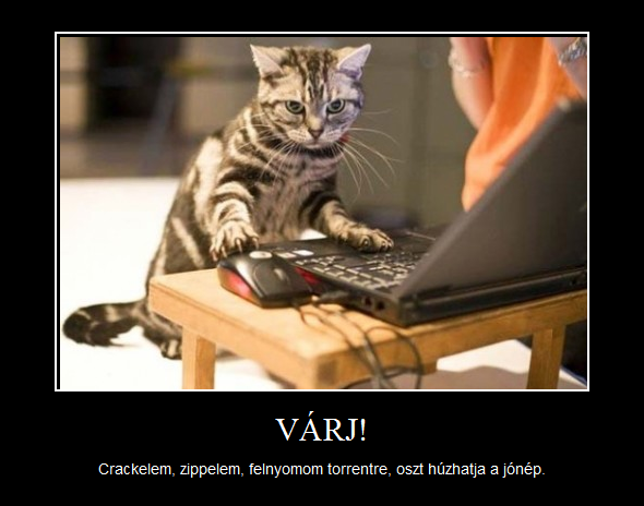 Kép