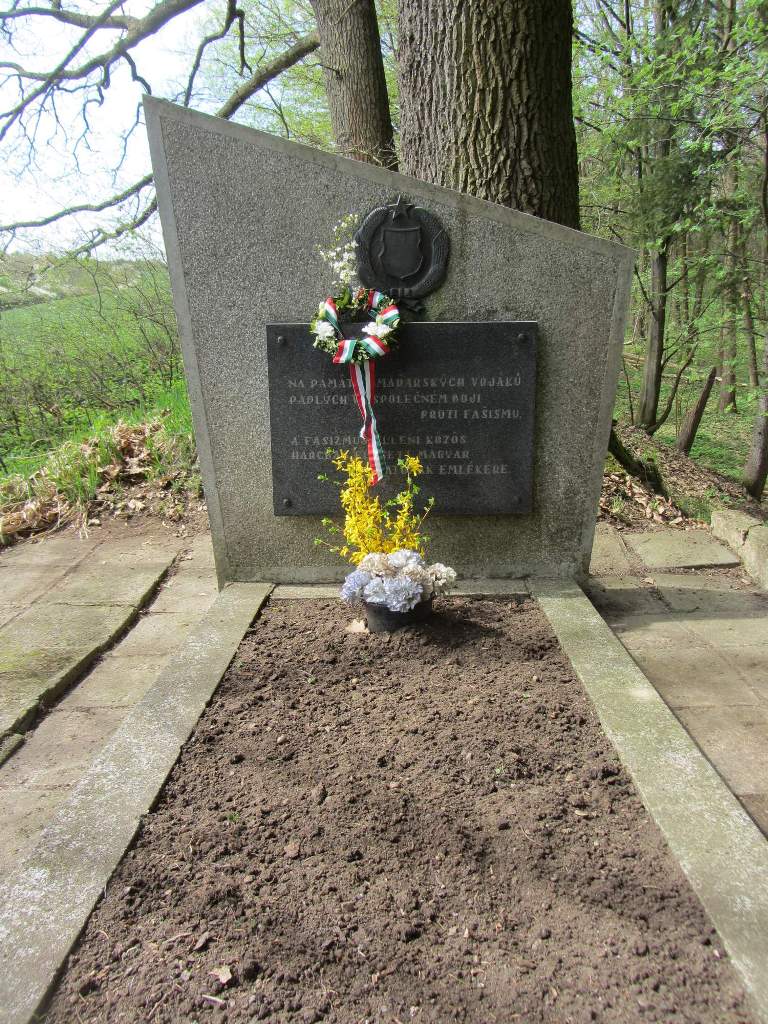 A cseh hagyományőrzők 2013. április 27-én látogatták meg az emlékművet, amelyet letakarítottak - forrás: honved.estranky.cz