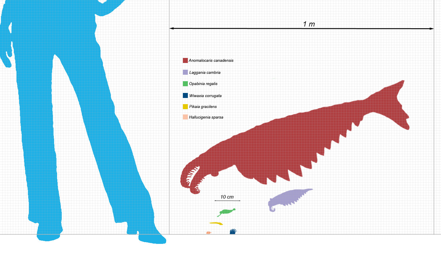 burgess_scale_cor.png