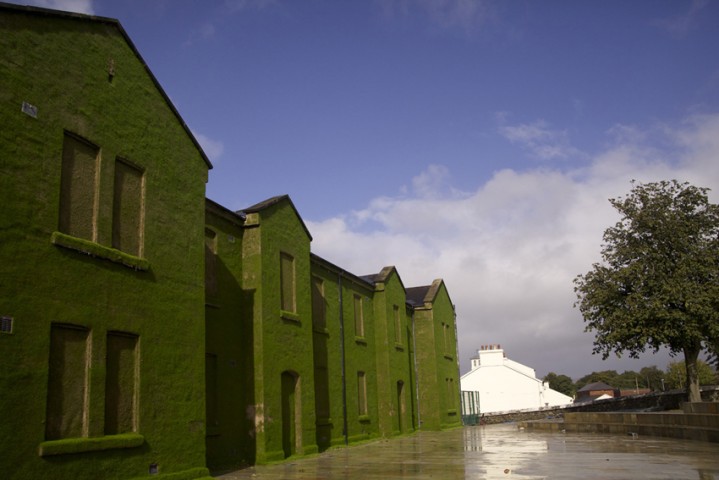 cunningham-day-lr-7601-719x480.jpg