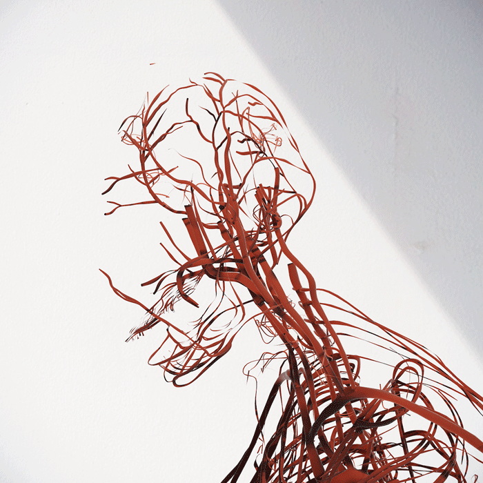 a988df50911761_58e52a8f8bb4a.gif