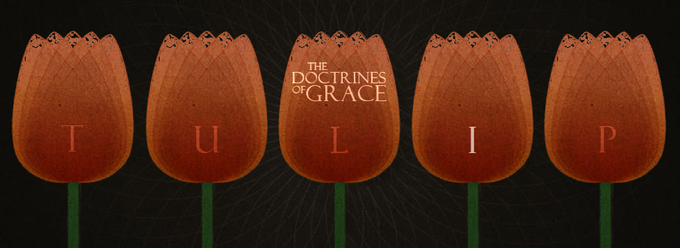 doctrines-of-grace-i.jpg
