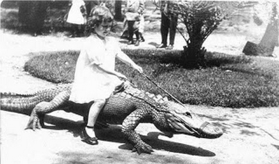 los_angeles_alligator_farm_1920s_09.jpg