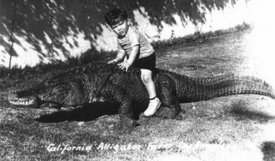 los_angeles_alligator_farm_1920s_12.jpg