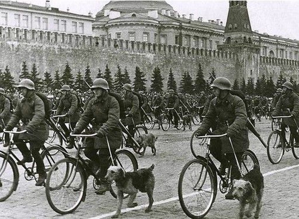 1938_soviet_bicycle_troops_with_war_dogs_on_parade_moscow_russia_1_may.jpg