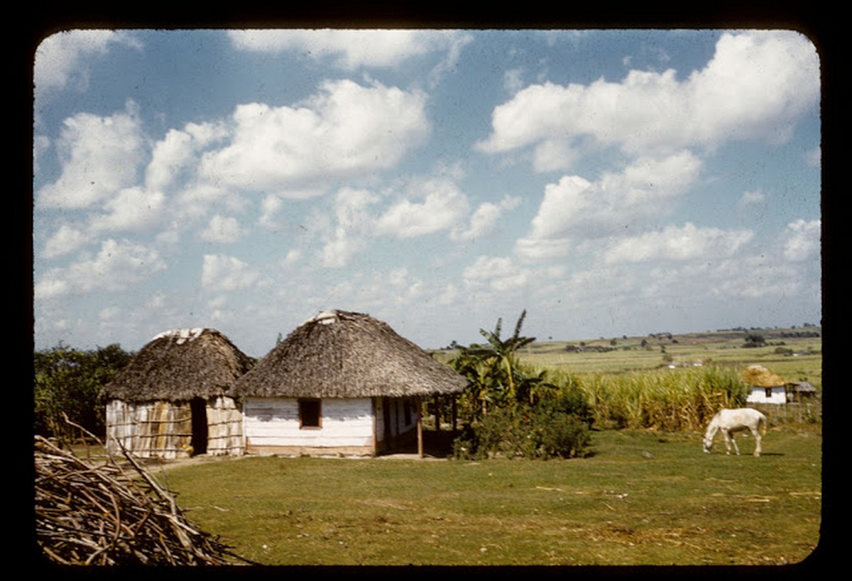 everyday_life_of_cuba_in_the_1950s_2812_29.jpg