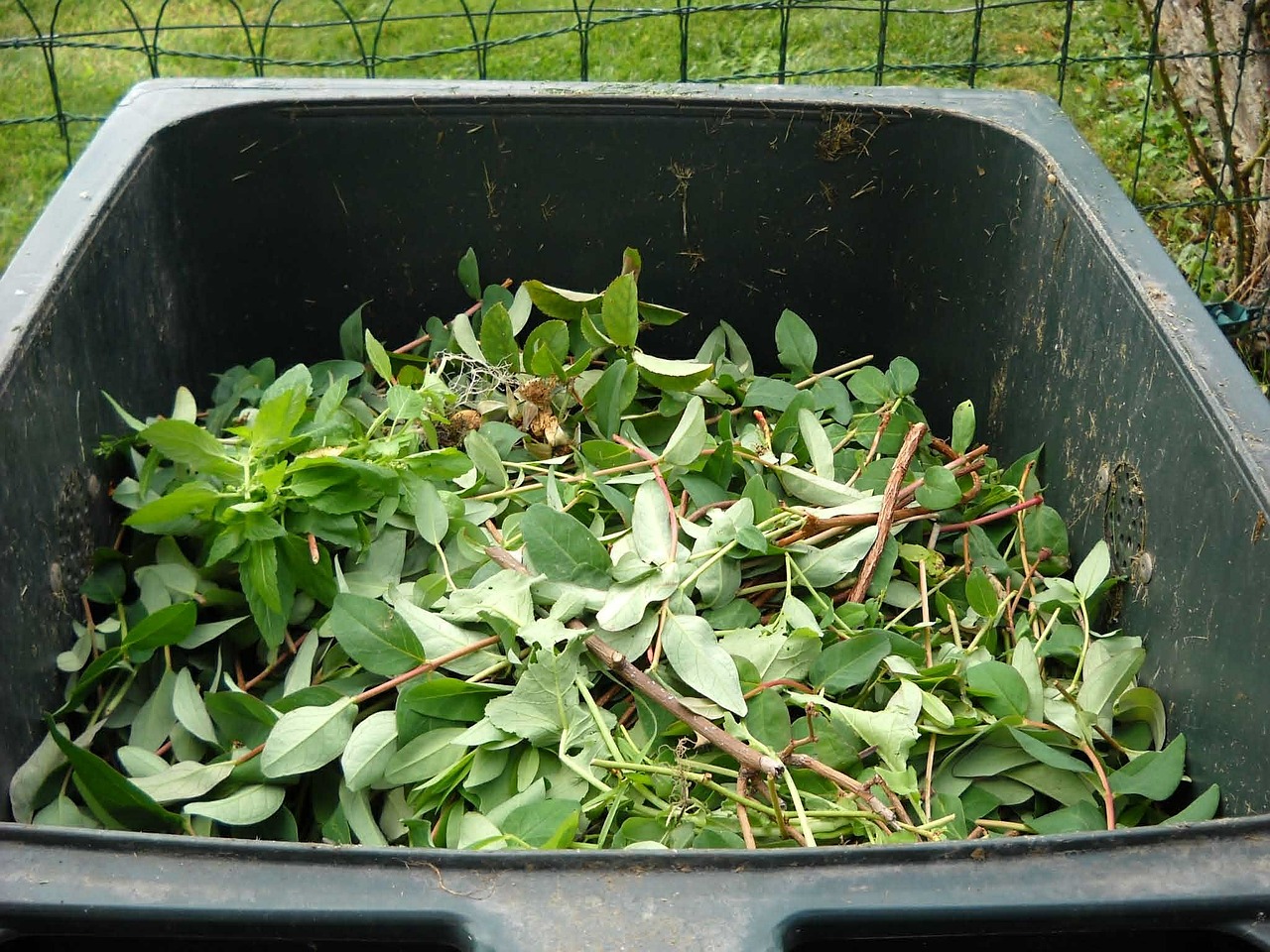 green-waste-486011_1280.jpg