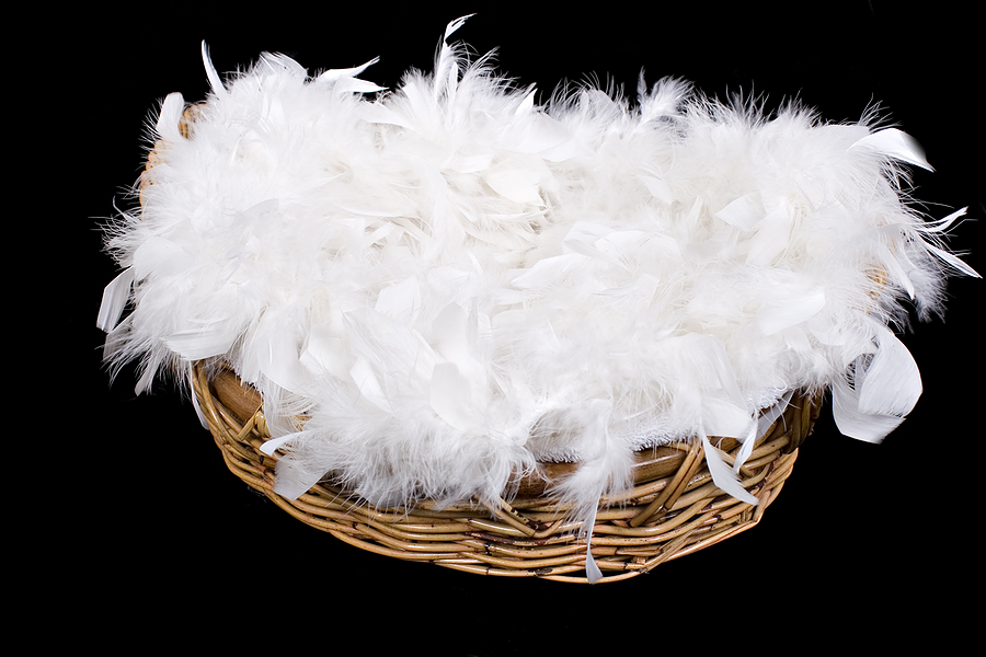 bigstock-basket-of-feathers-26143358.jpg