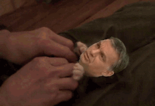 cica.gif