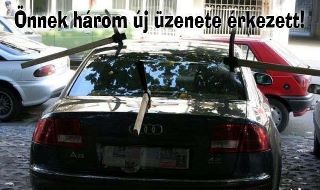 Feltöltött kép