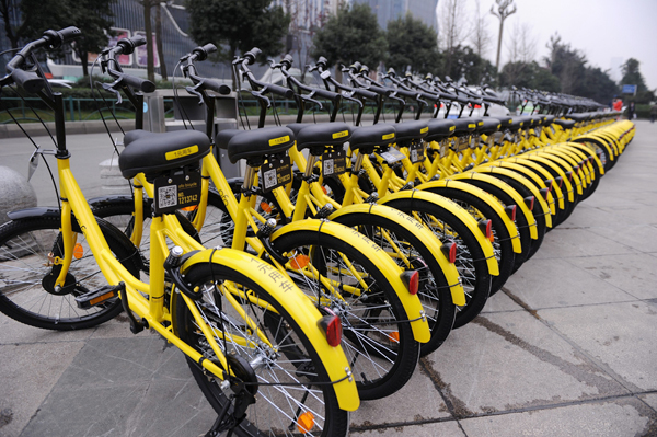 ofo2.jpg