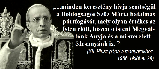 143xii_piusz_530.jpg