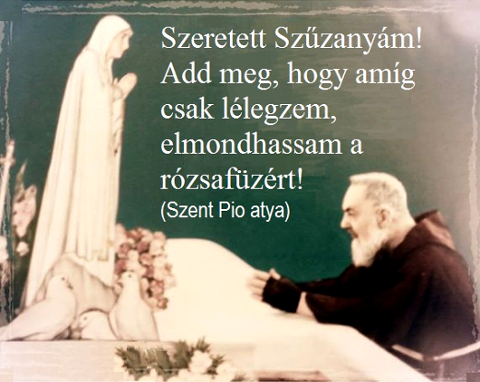 248szeretett_szuzanyam_530.jpg