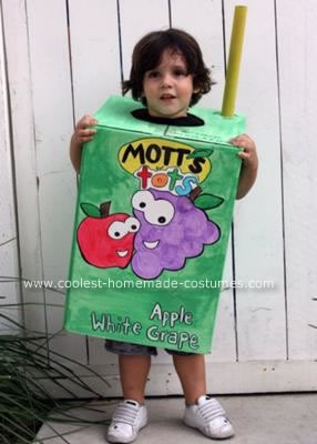 coolest-juice-box-costume-6-21139223.jpg