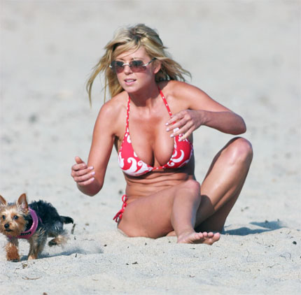 tara-reid-yorkie.jpg