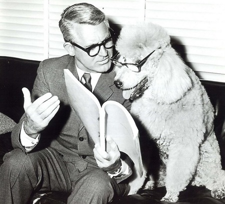 cary_grant_poodle.jpg