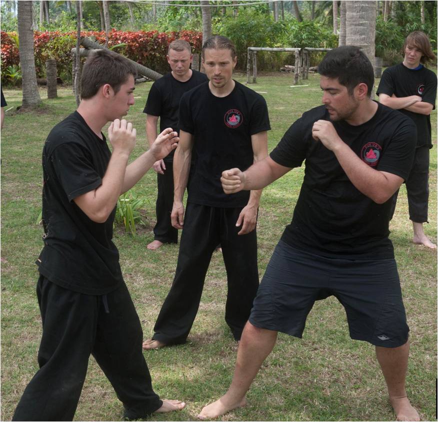 martial_arts_training_vagott.jpg