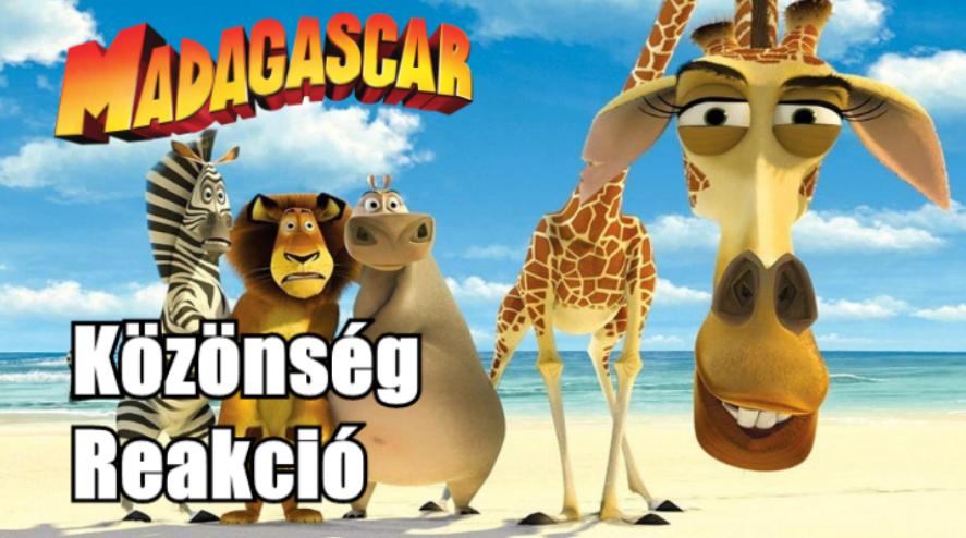 madagaszkar_kozonseg.png