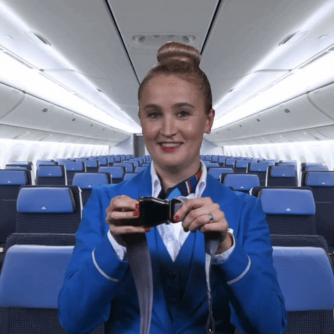 stewardess.gif