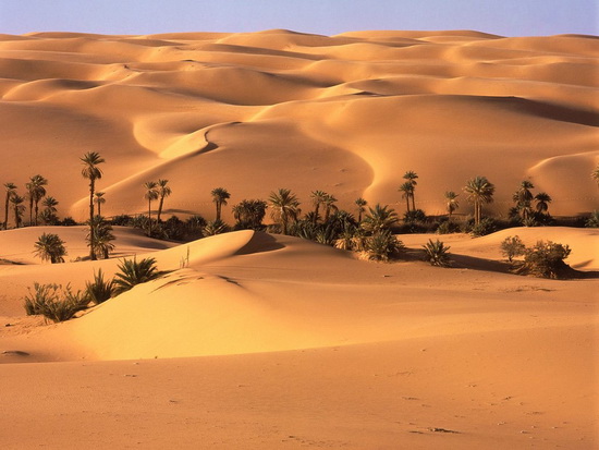 Desert_Oasis,_Libyan_Desert.jpg