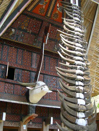 Traditional house in Tana Toraja.jpg