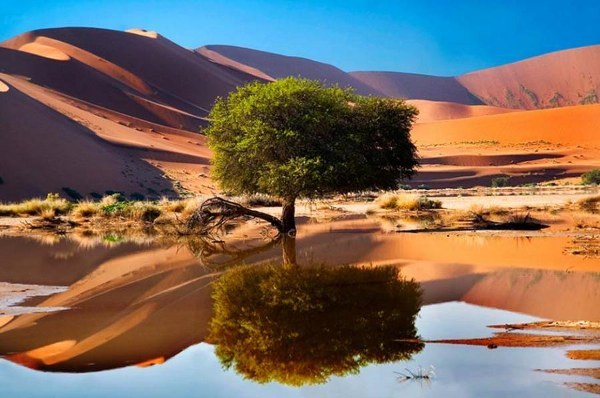Sossusvlei,Namíb-sivatag, Namíbia.jpg