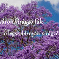 Nyáron virágzó fák – A 10 legszebb nyári virágzó fa