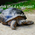 Melyik állat él a legtovább? A 10 leghosszabb életű állat