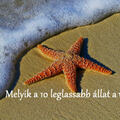 Melyik a 10 leglassabb állat a világon?