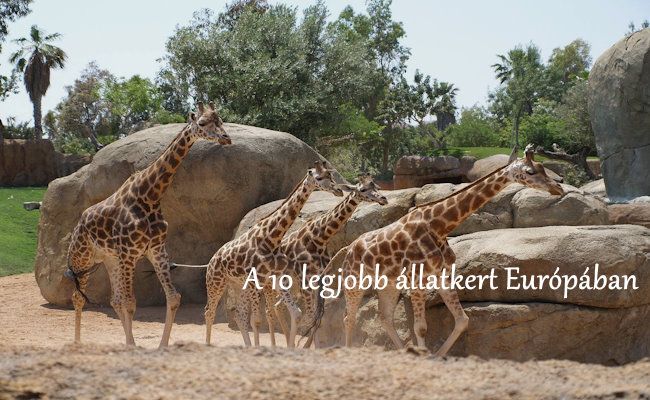 A 10 legjobb állatkert Európában