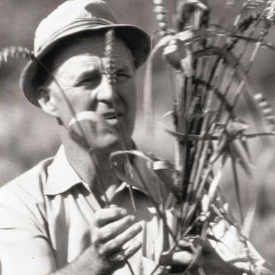 a_10_legjobb_ember_a_vilagon_noman_borlaug.jpg