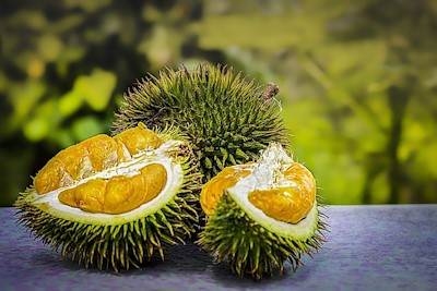 egzotikus_gyumolcs_durian.jpg