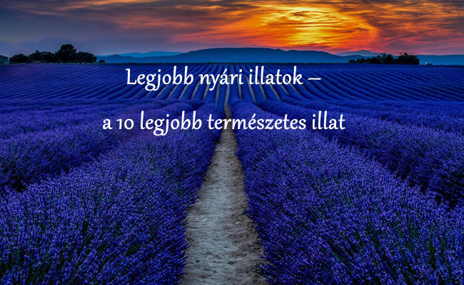Legjobb nyári illatok – a 10 legjobb természetes illat