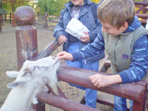 debrecen_zoo2.jpg