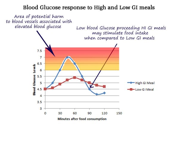 blood_glucose_response_to_low_and_high_gi_food.jpg