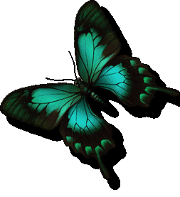 butterfly4.gif