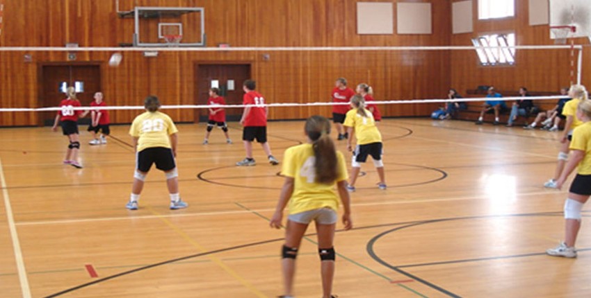 playing-volleyball_large.jpg