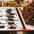 Ehető rovarok a piacon