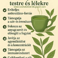 Zöld tea hatása