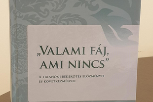 „Valami fáj, ami nincs”