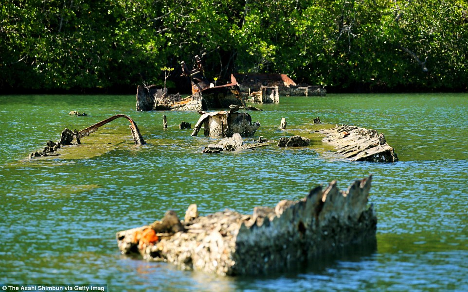A japán Kikuzuki romboló roncsa a part menti mangrove erdők mellett a salamon-szigeteki Ngella sziget Tokio öblében.
